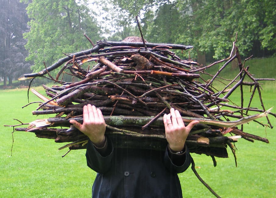 different sizes of branches and wood for fire